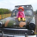Цветы жизни